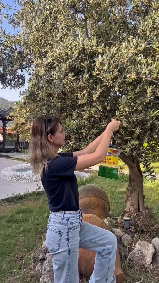 çalışma